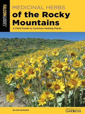 cover image of Medicinal Herbs of the Rocky Mountains